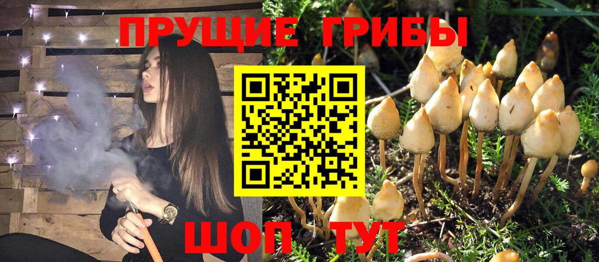 Галлюциногенные грибы ЛСД Карасук