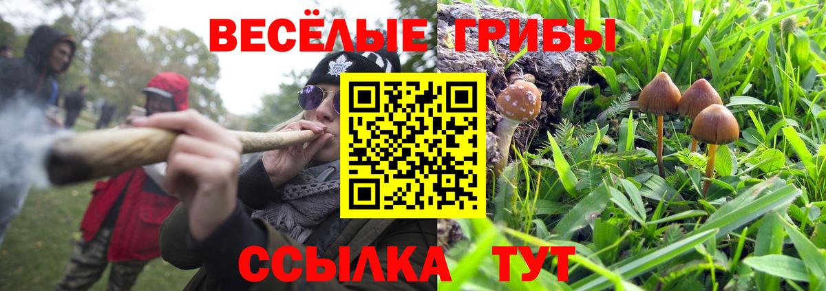Псилоцибиновые грибы ЛСД  где можно купить   Вход с VPN  Карасук  Галлюциногенные грибы прущие грибы 
